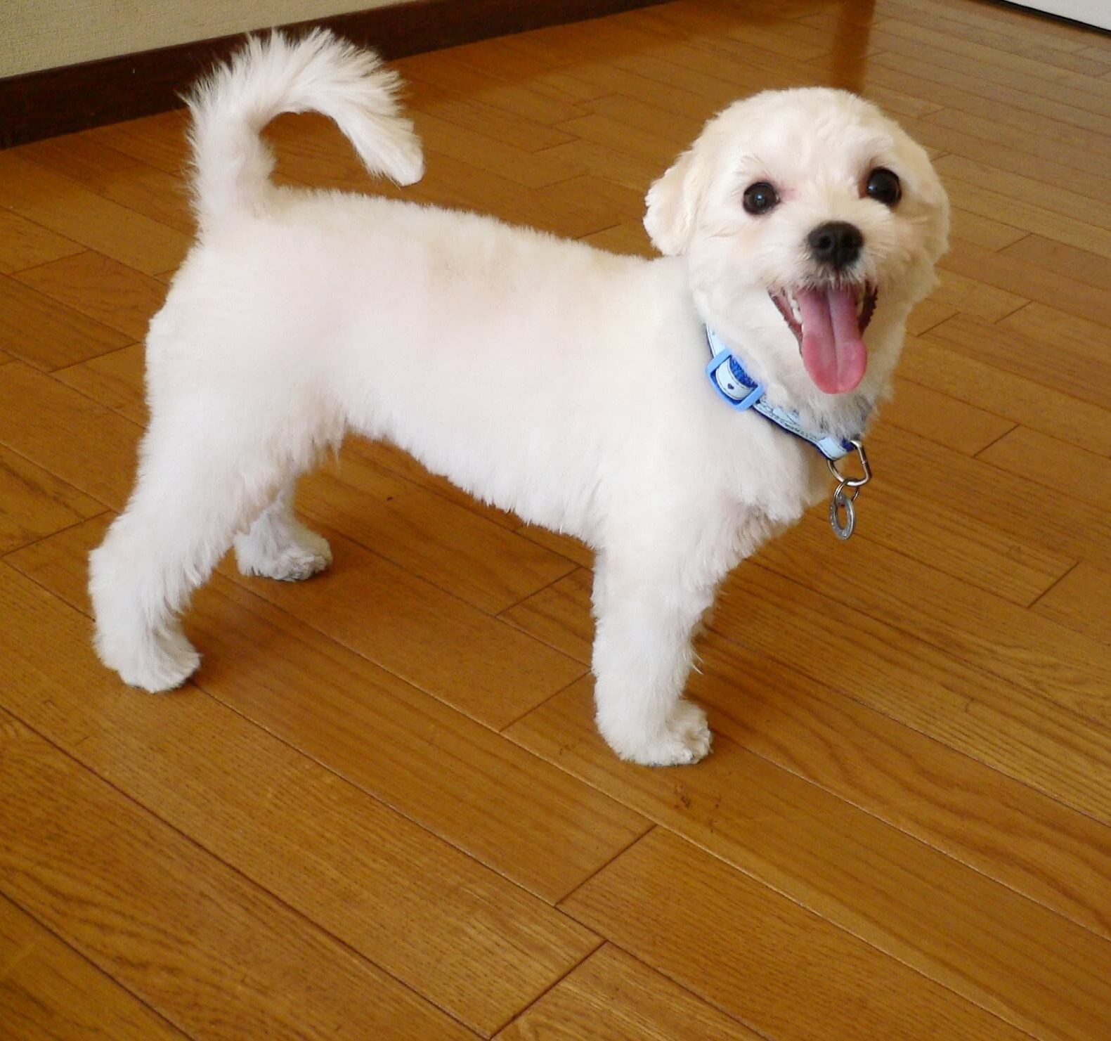 snow (4)auuuuuuuuuuuuuuuuuuuuuuu